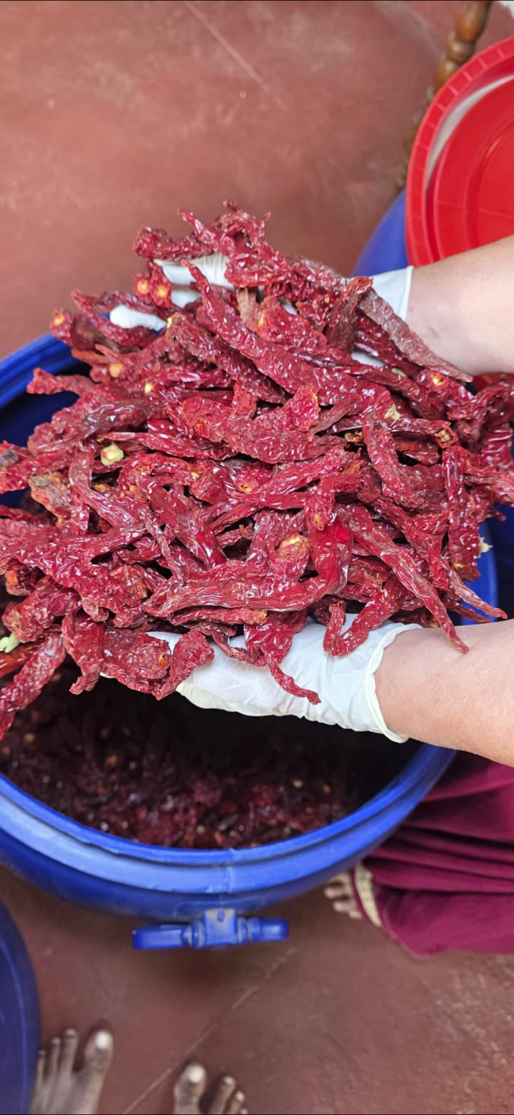 Spice jars styled on countertop